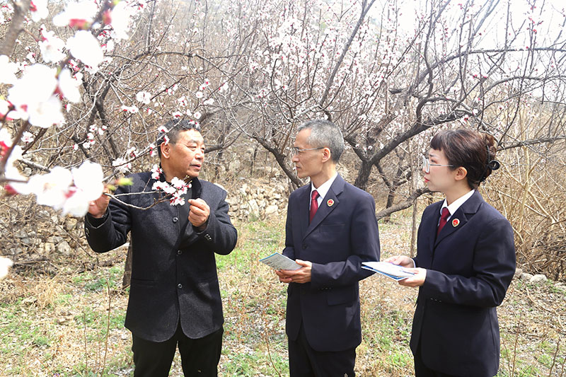 安徽涡阳数字赋能司法行政工作提质效
